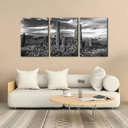 Pacimo 3 Pieces Black and White Canvas Wall Art Sunset Landscape of National Park Arizona Sonoran Desert Cactus Pictures Painting Prints on Canvas Modern Artwork for Home Office Decor - 20"x28"x3