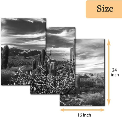 Pacimo 3 Pieces Black and White Canvas Wall Art Sunset Landscape of National Park Arizona Sonoran Desert Cactus Pictures Painting Prints on Canvas Modern Artwork for Home Office Decor - 16"x24"x3