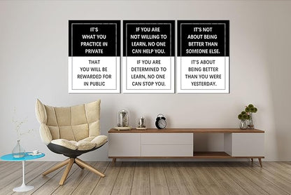 3 Piece Practice Inspirational Poster Entrepreneur quote Motivational Wall Art Canvas Prints Artwork for Office Living Room Modern Home Decor Painting Pictures Stretched and Framed[60''Wx 28''H]