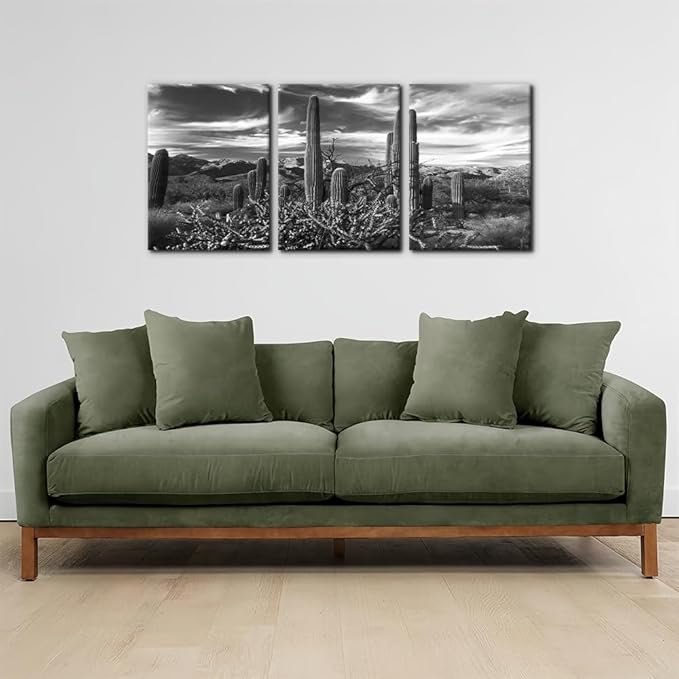 Pacimo 3 Pieces Black and White Canvas Wall Art Sunset Landscape of National Park Arizona Sonoran Desert Cactus Pictures Painting Prints on Canvas Modern Artwork for Home Office Decor - 12"x16"x3