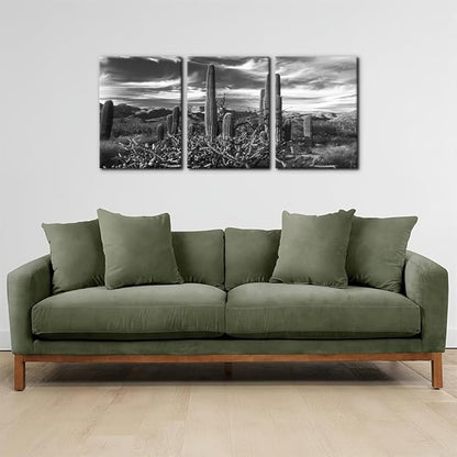 Pacimo 3 Pieces Black and White Canvas Wall Art Sunset Landscape of National Park Arizona Sonoran Desert Cactus Pictures Painting Prints on Canvas Modern Artwork for Home Office Decor - 12"x16"x3