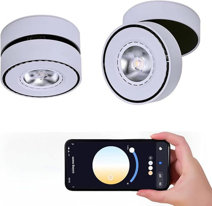 LED Ceiling Spotlight Indoor Dimmable - Tuya Smart Life 360° Adjustable 12W COB Ceiling Downlight Aluminum Hard Wired For Bedrooms Rooms Corridors Painting Background Walls (White, C (2.36"*3.93"))