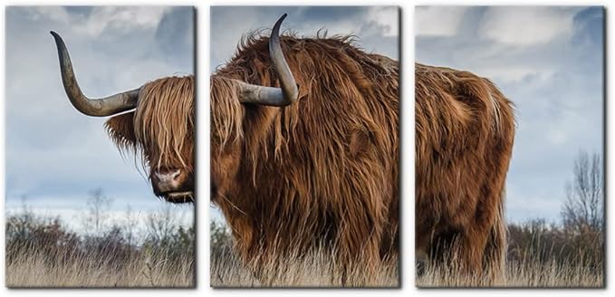 Pacimo 3 Panels Framed Canvas Prints Highland Cattle Wall Art Home Decorations for Living Room Modern Stretched and Framed Animal Pictures Photo Giclee Paintings Ready to Hang - 16"x24"x3 Panels