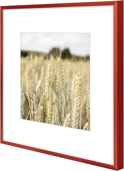 Golden State Art 12x12 Picture Frame 6 Pack - Dark Red Aluminum Photo Frames With 8x8 Mats and Real Glass Cover - Elegant Minimalist Wall Gallery Frames for Home or Office Decor
