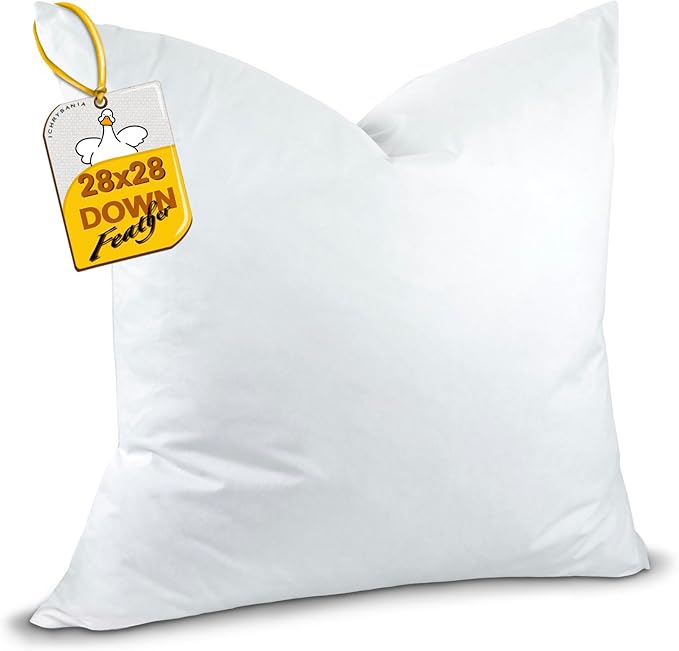 Down and Feather Euro Pillows Set of 1, Square Decorative Throw Pillows for Couch, Sofa, Chair, Bed,or Floor Cushions 28x28 (Inch, 28, 28x28)