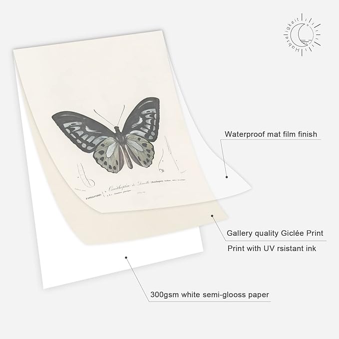 Habseligkeit Butterfly Master Wall Art Prints, Abstract Matisse Wall Art Exhibition Posters, Vintage Wall Art Prints, Retro Room Decor for Aesthetic Bedroom 11x14inch, Unframed