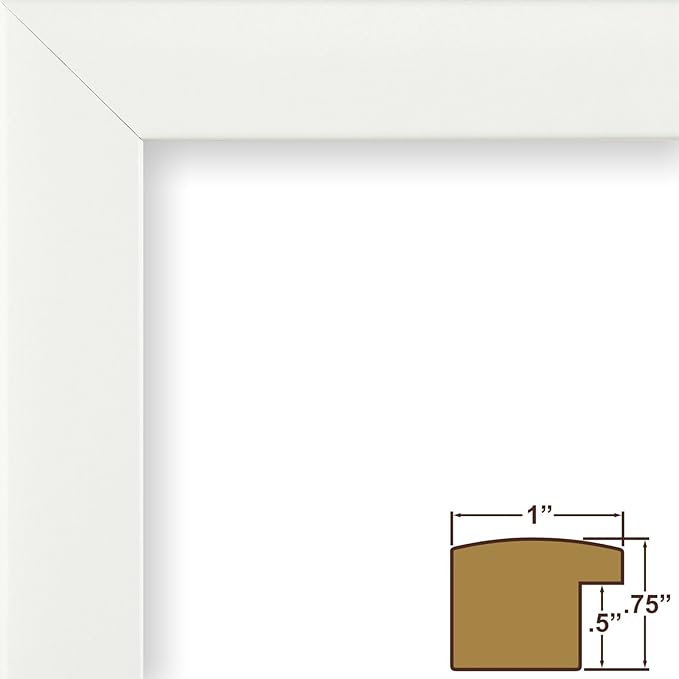Craig Frames 23247812 Picture Frame 7-Piece Wall Set, White Frames, White Display Mats