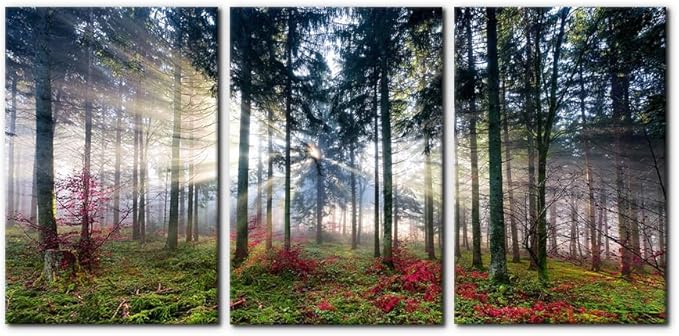 Pacimo 3 Pieces Canvas Wall Art Nature Landscape Sunrise Trees Pictures Painting Prints on Canvas Wall Decoration for Living Room Forest Framed Modern Artwork for Bedroom and Home Decor - 16"x24"x3