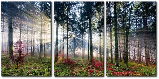 Pacimo 3 Pieces Canvas Wall Art Nature Landscape Sunrise Trees Pictures Painting Prints on Canvas Wall Decoration for Living Room Forest Framed Modern Artwork for Bedroom and Home Decor - 16"x24"x3