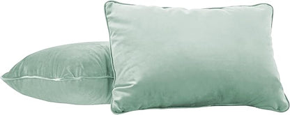 FDP 16" x 24" Velvet Rectangle Lumbar Pillow Set with Piping Decorative Throw Pillow for Home Dcor in Living Room, Bedroom or Lounge (2-Pack) - Aloe, 15160-347