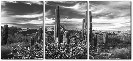 Pacimo 3 Pieces Black and White Canvas Wall Art Sunset Landscape of National Park Arizona Sonoran Desert Cactus Pictures Painting Prints on Canvas Modern Artwork for Home Office Decor - 20"x28"x3