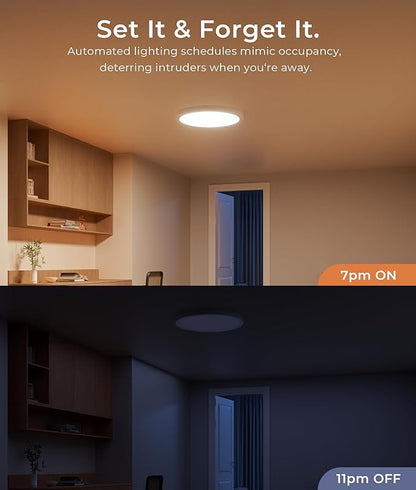 DeckTok 12 Inch Smart Ceiling Light, 2400LM RGBCW LED Flush Mount Ceiling Light Work with App & Voice Control, 2700K-6500K Dimmable LED Ceiling Light Fixture for Living Room Bedroom Game Room, 1 Pack