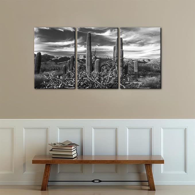 Pacimo 3 Pieces Black and White Canvas Wall Art Sunset Landscape of National Park Arizona Sonoran Desert Cactus Pictures Painting Prints on Canvas Modern Artwork for Home Office Decor - 16"x24"x3