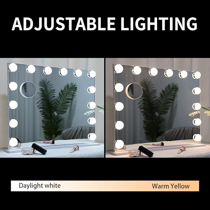 ANYHI Vanity Mirror with Lights, Large Hollywood Lighted Mirror with 14 Big LED Bulbs, Mirror with Lights for Makeup Desk, Smart Touch Control, Tabletop or Wall-Mounted, 24.4" x 19.7" (White)