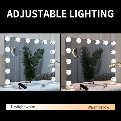 ANYHI Vanity Mirror with Lights, Large Hollywood Lighted Mirror with 14 Big LED Bulbs, Mirror with Lights for Makeup Desk, Smart Touch Control, Tabletop or Wall-Mounted, 24.4" x 19.7" (White)
