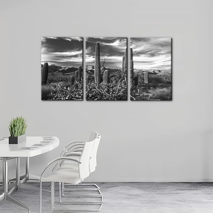 Pacimo 3 Pieces Black and White Canvas Wall Art Sunset Landscape of National Park Arizona Sonoran Desert Cactus Pictures Painting Prints on Canvas Modern Artwork for Home Office Decor - 16"x24"x3
