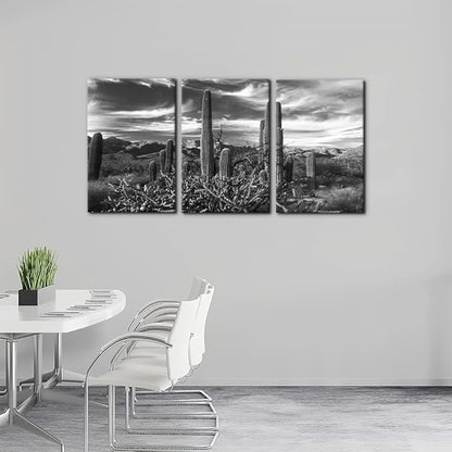 Pacimo 3 Pieces Black and White Canvas Wall Art Sunset Landscape of National Park Arizona Sonoran Desert Cactus Pictures Painting Prints on Canvas Modern Artwork for Home Office Decor - 16"x24"x3