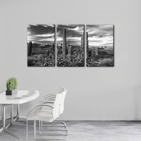 Pacimo 3 Pieces Black and White Canvas Wall Art Sunset Landscape of National Park Arizona Sonoran Desert Cactus Pictures Painting Prints on Canvas Modern Artwork for Home Office Decor - 16"x24"x3
