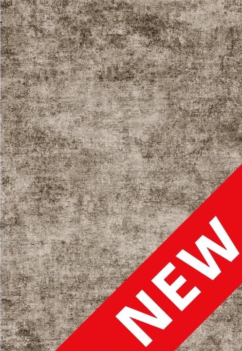 3x5 Living Room Area Rug - Modern Abstract Washable Bedroom Rugs with Non Slip Rubber Backing Indoor Low Pile Carpet for Office Nursery Soft Ultra Thin Home Decor Floor Mat for Bathroom 3x5 Brown