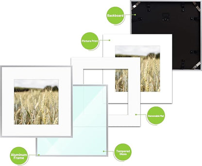 Golden State Art, Gallery Wall Frame Set of 6 - Silver 12x12 Aluminum Photo Frames with Mat for 8x8 Pictures - 12 x 12 inch Metal Frame with Real Glass Cover - Elegant Home or Office Decor