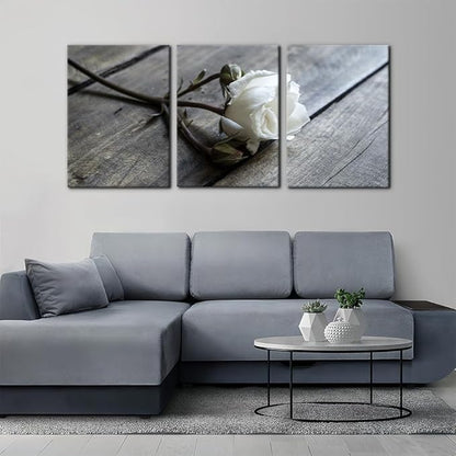 Pacimo White Rose Canvas Wall Art Prints Flowers Pictures Paintings Prints on Canvas Modern 3 Pieces Floral Giclee Artwork for Living Room Bedroom Office Home Decorations Stretched Framed - 20"x28"x3