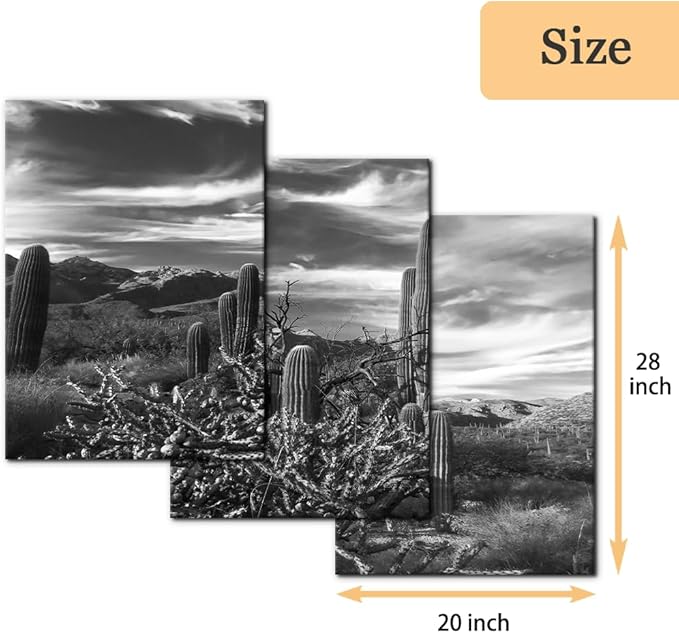 Pacimo 3 Pieces Black and White Canvas Wall Art Sunset Landscape of National Park Arizona Sonoran Desert Cactus Pictures Painting Prints on Canvas Modern Artwork for Home Office Decor - 20"x28"x3