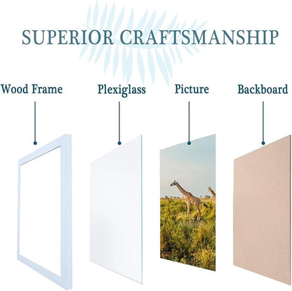 10x10 Picture Frame Set of 3, white Wooden Frame 10 by 10 Square Wall Gallery Poster Photo frame with Durable Shatter Resistant Plexiglass for Wall Hanging best gift