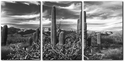 Pacimo 3 Pieces Black and White Canvas Wall Art Sunset Landscape of National Park Arizona Sonoran Desert Cactus Pictures Painting Prints on Canvas Modern Artwork for Home Office Decor - 16"x24"x3
