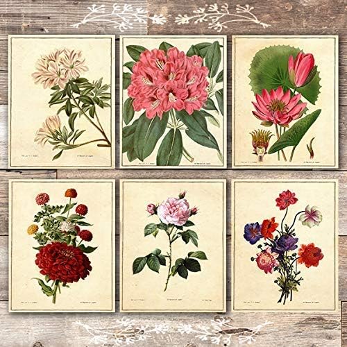 Vintage Botanical Flowers Art Prints (Set of 6) - Unframed - 8x10s | Charming and Classic Floral Decor for Your Home | Living Room Wall Decor | Vintage Wall Art | Vintage Wall Decor | Office Decor