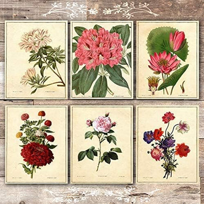 Vintage Botanical Flowers Art Prints (Set of 6) - Unframed - 8x10s | Charming and Classic Floral Decor for Your Home | Living Room Wall Decor | Vintage Wall Art | Vintage Wall Decor | Office Decor
