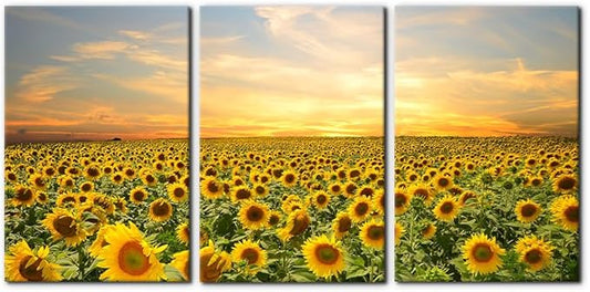 Pacimo Sunflowers Canvas Prints Wall Art Landscape Pictures Painting Prints on Canvas Yellow Flowers Modern Artwork for Living Room Bedroom Home Office Decor Stretch Framed Ready to Hang - 16"x24"x3