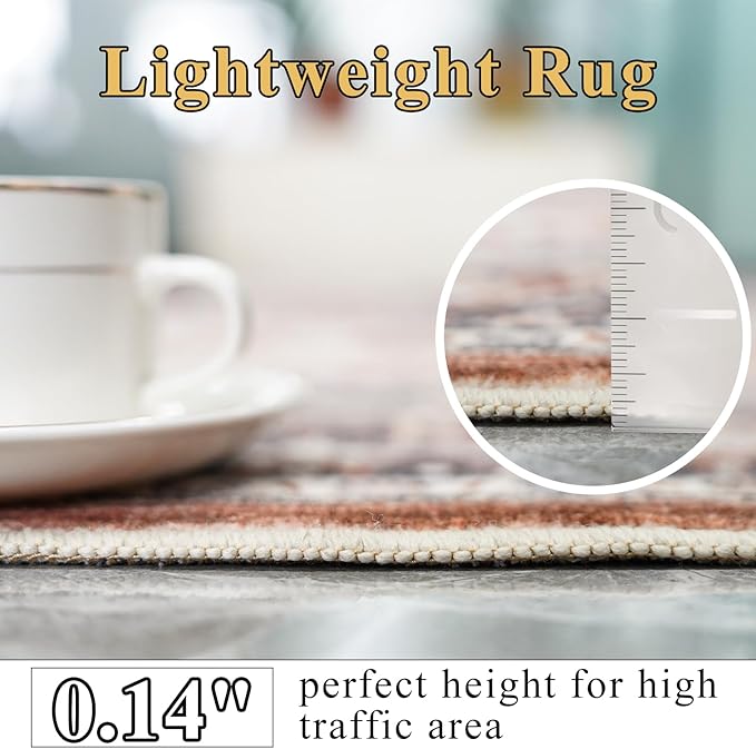 9x12 Area Rugs for Living Room: Washable Ultra Thin Rug - Oriential Stain Resistant Carpets - Large Indoor Non-Slip Rug for Bedroom Dining Room 9'x12' Brick