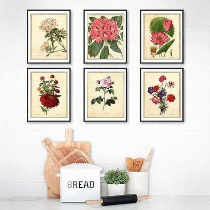 Vintage Botanical Flowers Art Prints (Set of 6) - Unframed - 11x14 | Charming and Classic Floral Decor for Your Home | Living Room Wall Decor | Vintage Wall Art | Vintage Wall Decor | Office Decor