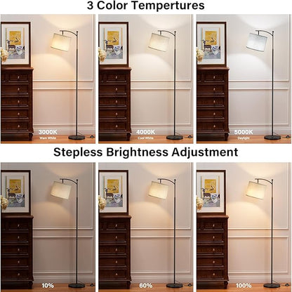 Ambimall 60" Floor Lamp with Remote Control and Stepless Dimmable Bulb, Colors Temperature & Brightness Adjustable, Modern Floor Lamps for Living Room, Gray Shade & Black Pole