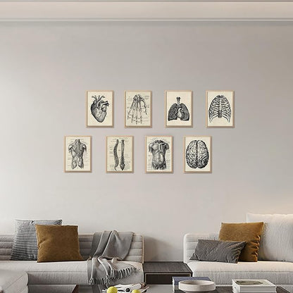 Ohhvvow Human Anatomy Artwork Medical Wall Art Canvas, 8 * 10 Inch Muscle Skeleton Vintage Poster Nordic Canvas Print Education Painting Modern Decor, Unframed