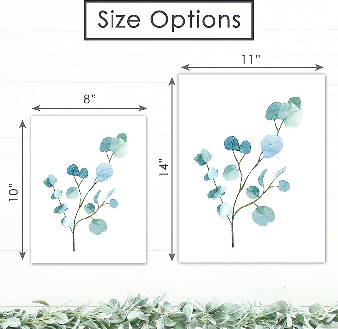 Trendy Eucalyptus Art Prints (Set of 6) Art Print - 11x14 (Unframed) | Refresh Your Space with Contemporary Elegant Botanical Wall Decor | Modern Home Decor | Farmhouse Decor | Home Décor