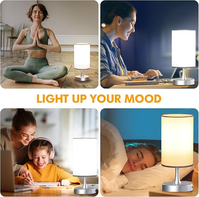 Caromolly Light Therapy Lamp, 10000 Lux Light with Remote Control, 3 Color Temperature & 4 Brightness Level & Timer, Daylight Lamp for Home, Office, Decoration(Silver Base White Shade)