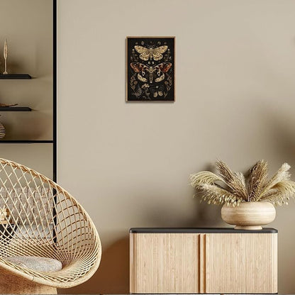 Djmwtb Framed Wall Art Vintage Wall Decor Moth Canvas Art Insect Pictures Botanical Paintings Dark Prints Gothic Artwork for Bedroom Living Room