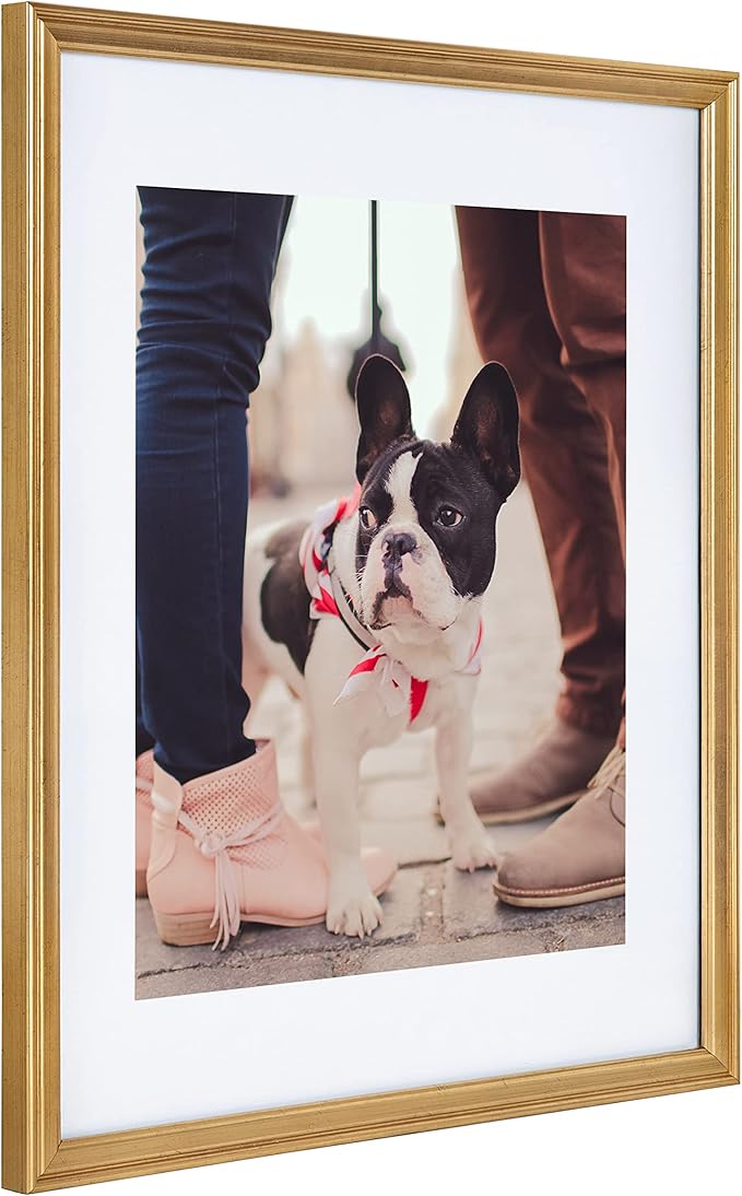 Kate and Laurel Adlynn Wall Picture Frame Set, 14" x 18" matted to 11" x 14", Gold, Set of 3