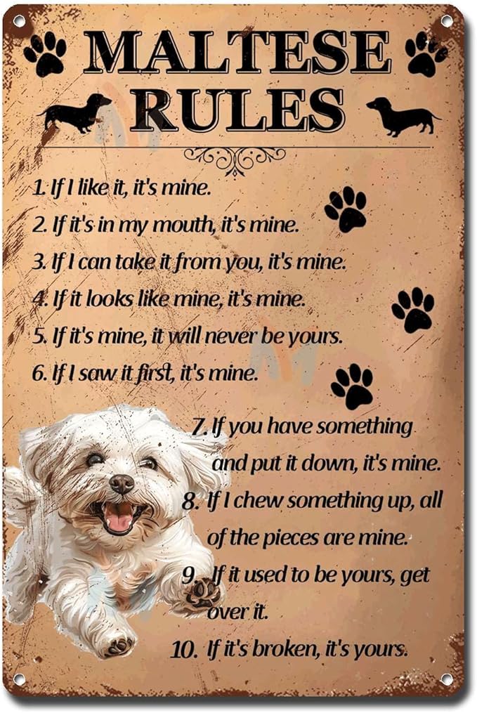 Metal Sign Tin Sign Vintage Wall Art Maltese Rules Home Deccor Store Home Decor for Bar 12×16 Inches