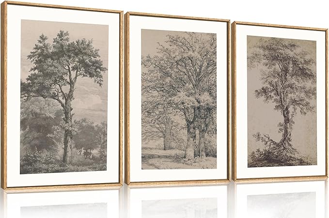 KAIRNE Vintage Tree Sketch Framed Canvas Wall Art Set, Antique Tree Drawings Wall Decor, Retro Forest Art Prints, Modern Nature Landscape Artwork for Living Room, Bedroom, Farmhouse, Office-16 x24 x3
