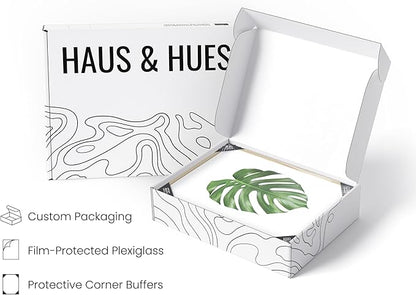 HAUS AND HUES Plant Photo Set of 4-16x20 Framed Beige