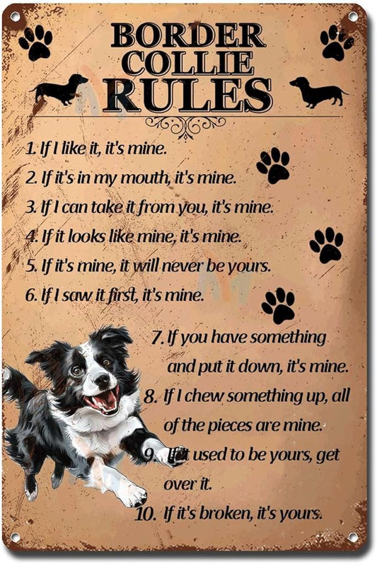 Metal Sign Tin Sign Vintage Wall Art Border Collie Rules Tin Signs for Garden for Room 12×16 Inches