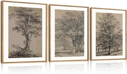 KAIRNE Vintage Tree Sketch Framed Canvas Wall Art Set, Antique Tree Drawings Wall Decor, Retro Forest Art Prints, Modern Nature Landscape Artwork for Living Room, Bedroom, Farmhouse, Office-12 x16 x3
