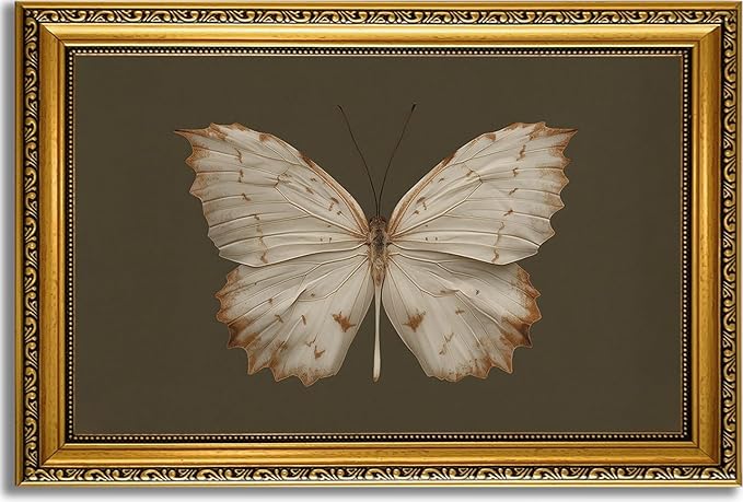 YD&YZY Gold Framed Vintage Wall Art Canvas Classical Butterfly Dark Gray Farmhouse Wall Decor Retro Moody Aesthetic Art Painting Picture Print Artwork Decor for Bedroom Bathroom 16x24 inch Framed