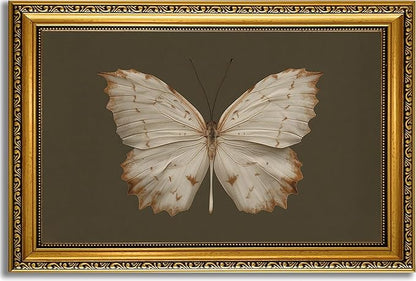YD&YZY Gold Framed Vintage Wall Art Canvas Classical Butterfly Dark Gray Farmhouse Wall Decor Retro Moody Aesthetic Art Painting Picture Print Artwork Decor for Bedroom Bathroom 16x24 inch Framed