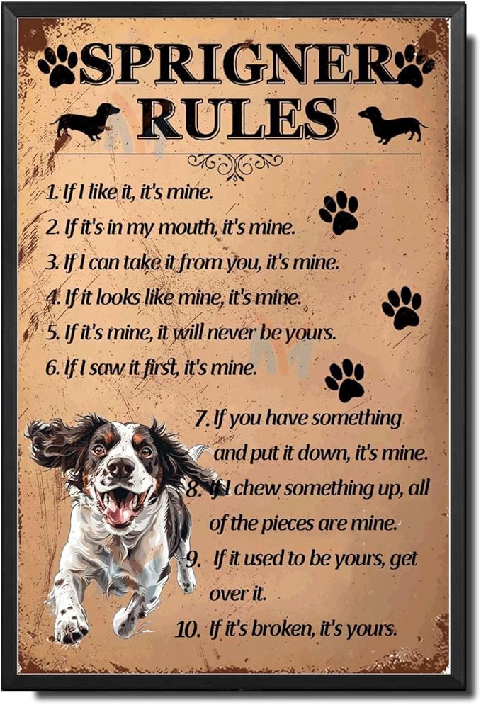 Metal Sign Tin Sign Vintage Wall Art Springer Rules Signs for Garden for Restaurant 12×16 Inches with Metal Frame