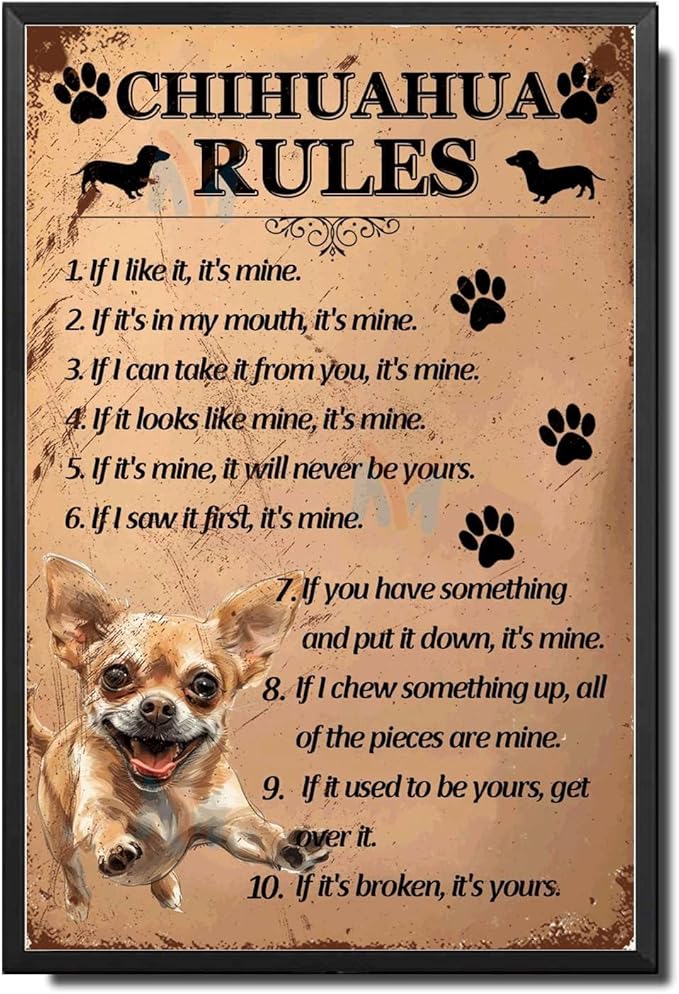 Metal Sign Tin Sign Vintage Wall Art Chihuahu Rules Garden Metal Sign for Bar 8×12 Inches with Metal Frame