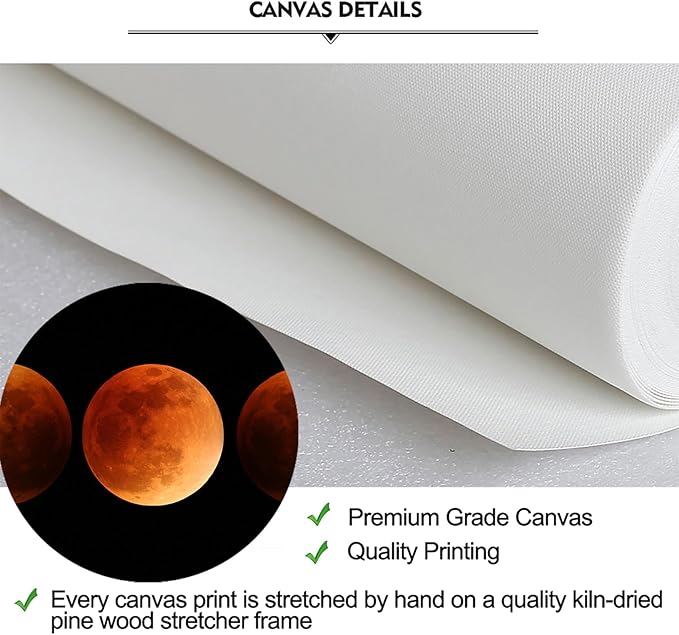 iKNOW FOTO Large Eclipse of the Moon Wall Decor Black and White Canvas Print Artworks Lunar Moon Wall Art Abstract Prints Poster for Office Dorm Living Room Bedroom Home Decoration 16x48 Inches