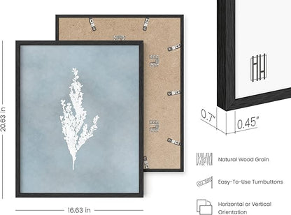 HAUS AND HUES Floral Wall Art - Set of 4 Plant Posters for Wall Vintage Botanical Prints, Flower Pictures for Room Aesthetic, Vintage Art Prints Flower Wall Art (Black Frame, 16x20)